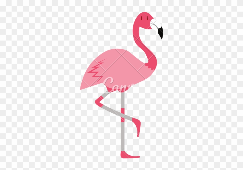 Cartoon Flamingo Isolated On White Background - Transparent Background Flamingo Png #800896