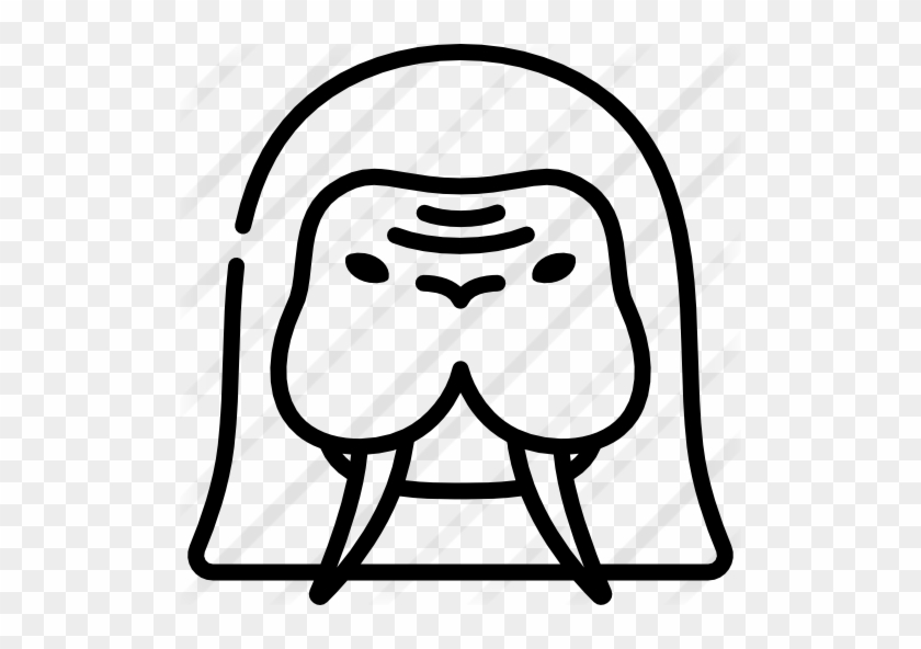 Walrus - Walrus #800972