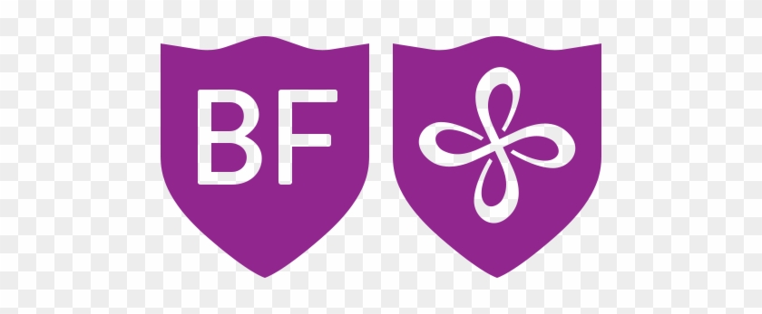 Björt Framtíð, Bright Future, Political Party, Iceland, - Björt Framtíð #800996