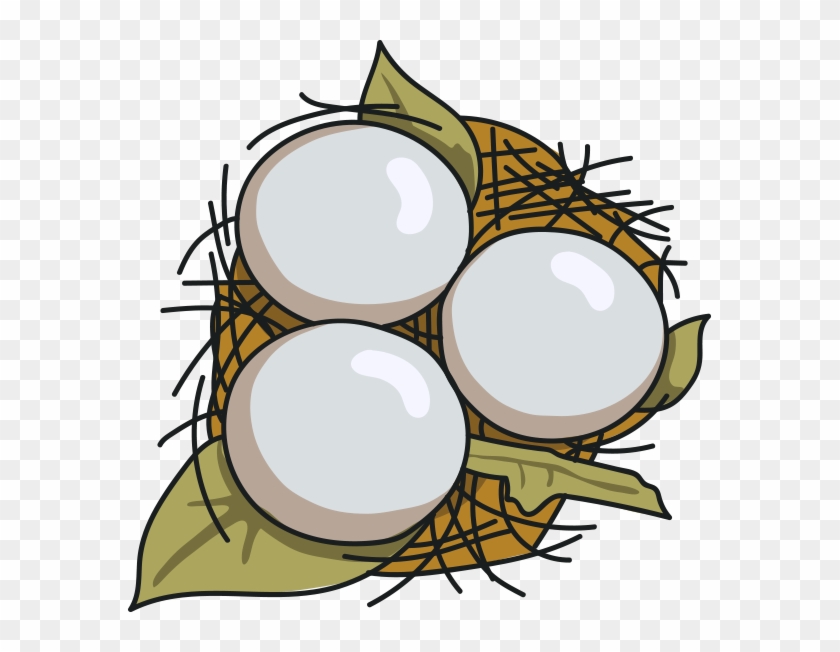 Owl Eggs - Owl Eggs #801072