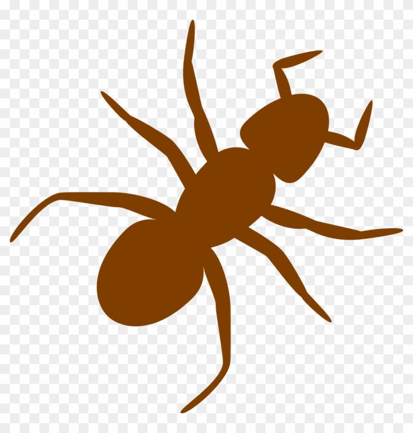 Ant Insect Silhouette Brown Png Image - Ant Clip Art #801156