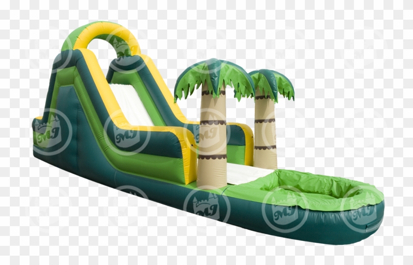 Dolphin Waterslide Rental - Water Slide #801183