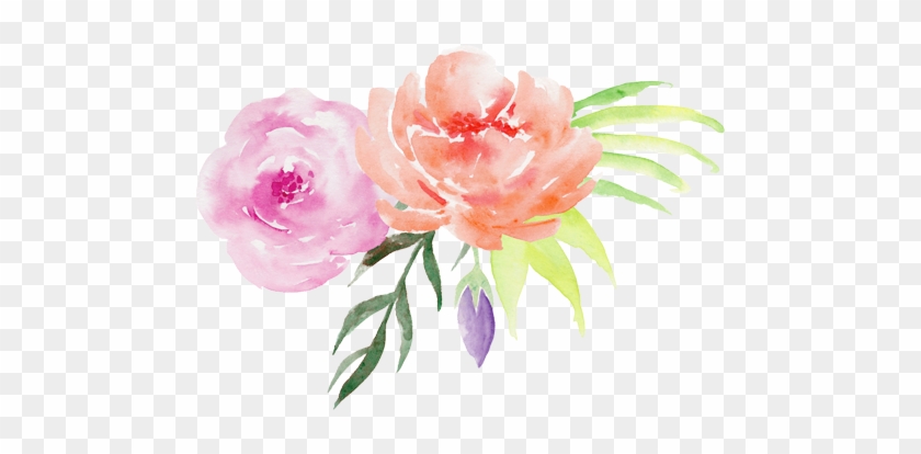 Watercolor Rosa Png #801297