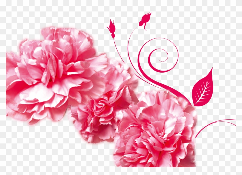 Mothers Day Gratitude Advertising Carnation - 母亲 节 #801389