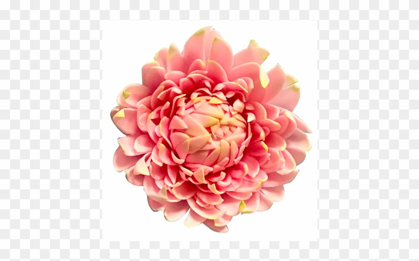 Cutter More Than A Dahlia, 3 Pieces - Dahlia #801656