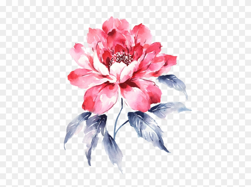 Moutan Peony Download - Moutan Peony Download #801682