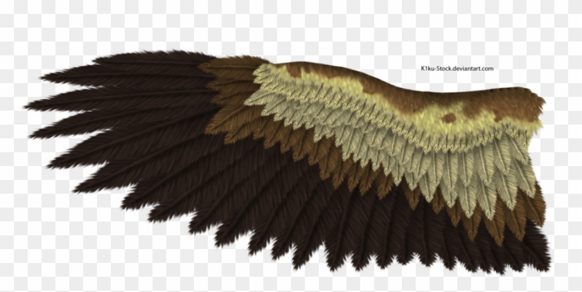 Eagle Wing - Eagle Wing #801683