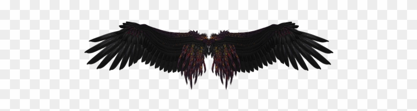 Wing Feather Angel Fly Black Black Engel M - Angel Wings Png #801739