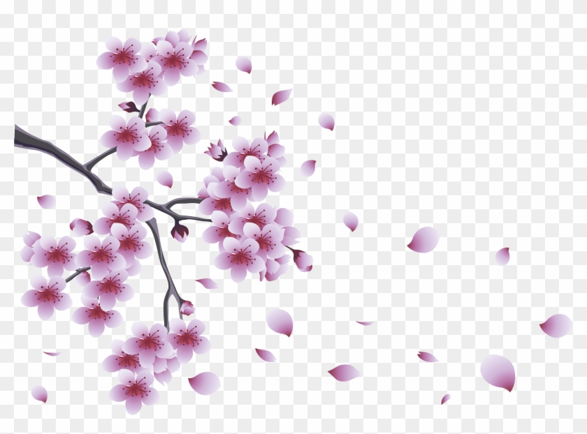 Cherry Tree Clipart Lilac Tree - Spring Png #801752
