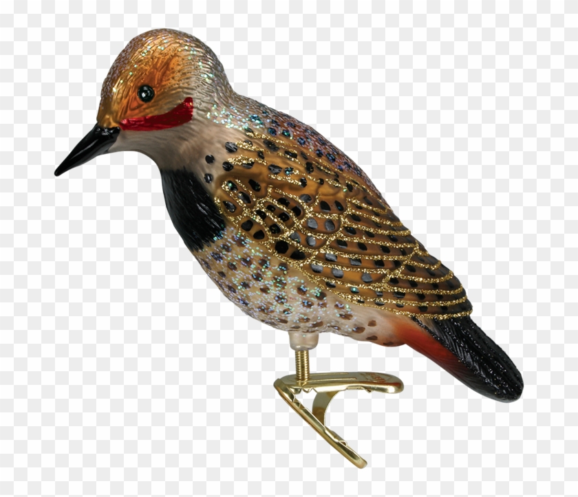 Northern Flicker Bird Clip Christmas Ornament - Northern Flicker Transparent #801862