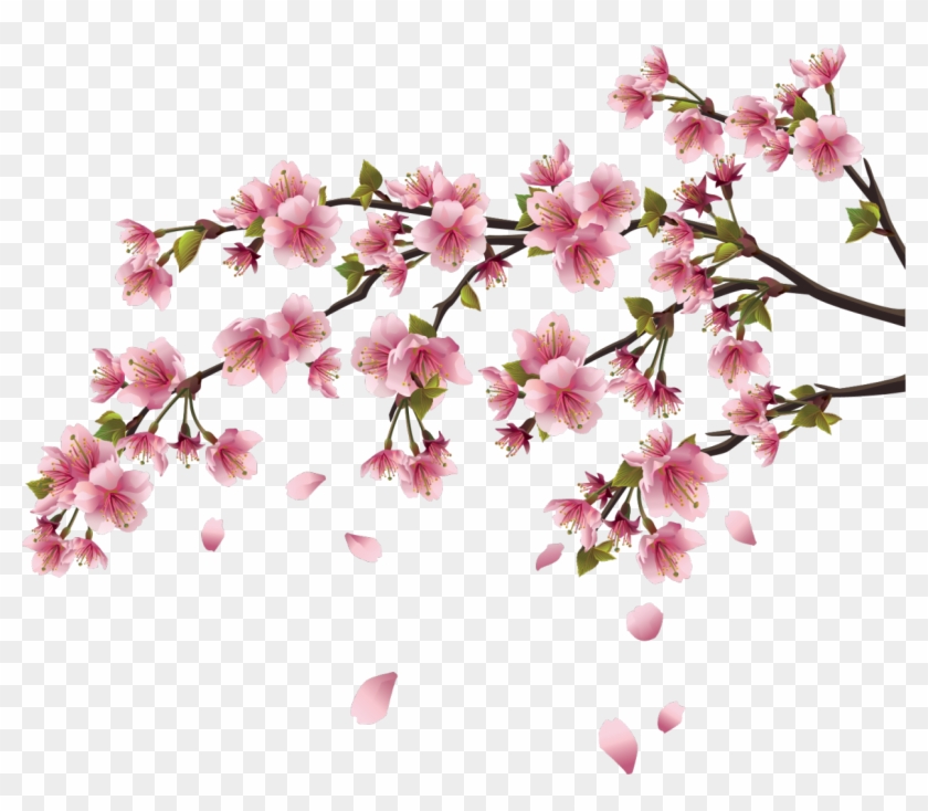 Cherry Blossom Wall Decal Branch - Cherry Blossom Wall Decal Branch #801954