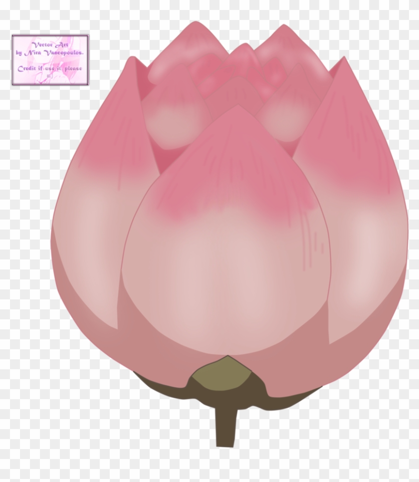 Anime Lotus Flower Gallery Flower Wallpaper Hd Anime - Lotus Flower Anime Png #801921