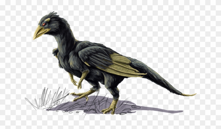 Corvid Wherry Bird - Corvid Bird #801938