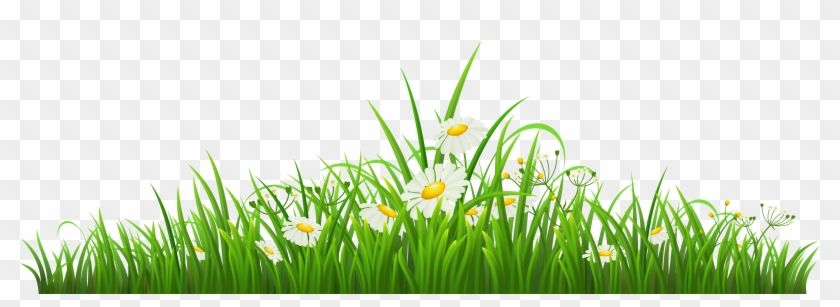 Chamomile Clipart Png Format - Transparent Grass Clipart #801978