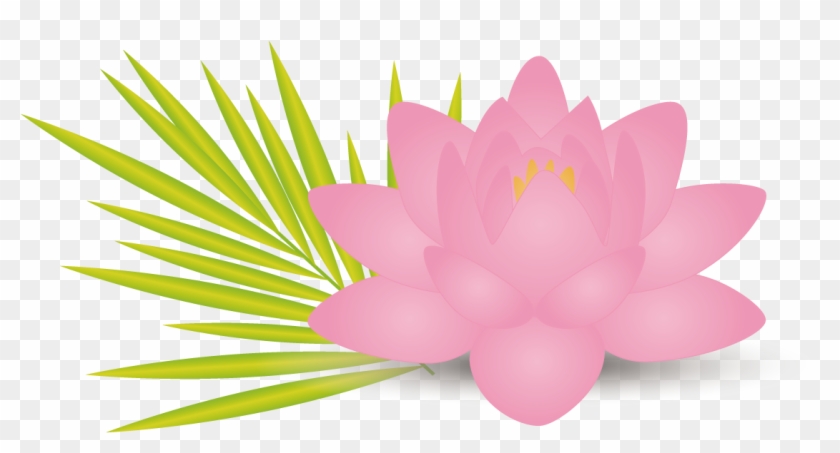 Nelumbo Nucifera Lotus Effect Flower Leaf Euclidean - Nelumbo Nucifera Lotus Effect Flower Leaf Euclidean #802060