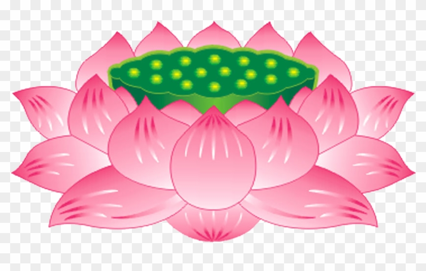 Nelumbo Nucifera Buddhism Buddhahood Bodhisattva Guanyin - Png Lotus Vector Free #802117