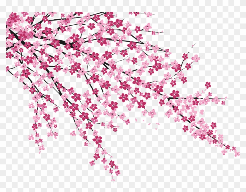Cherry Blossom Sakura No Hanabiratachi Wall Painting - Cherry Blossom Png #802137