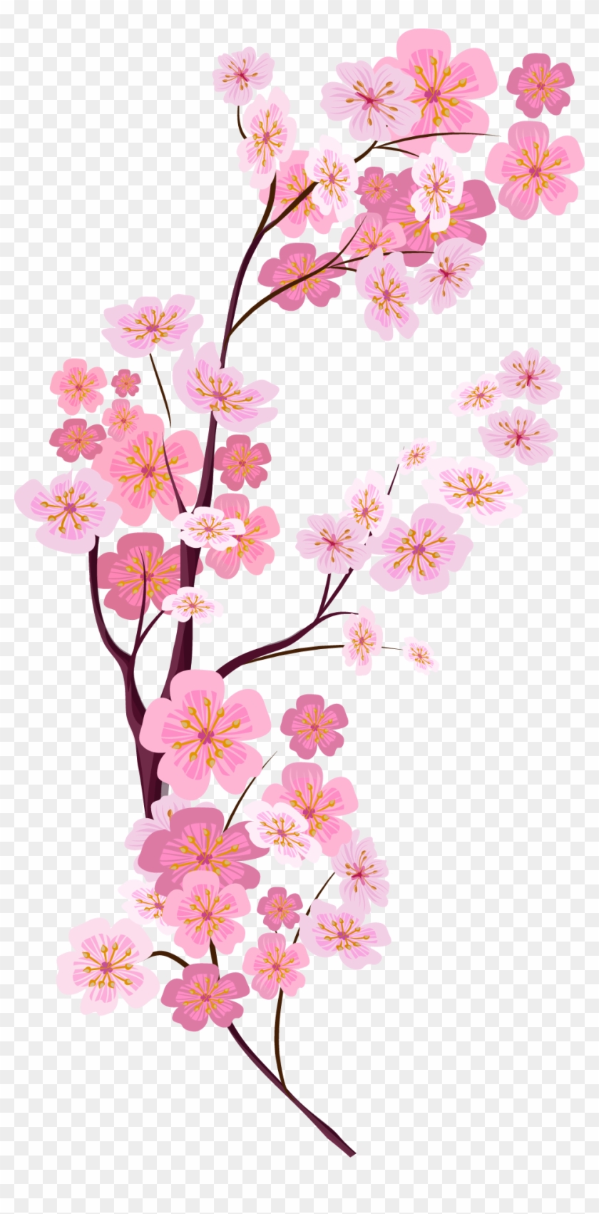 Cherry Blossom Euclidean Vector - Cherry Blossom Vector Png #802143