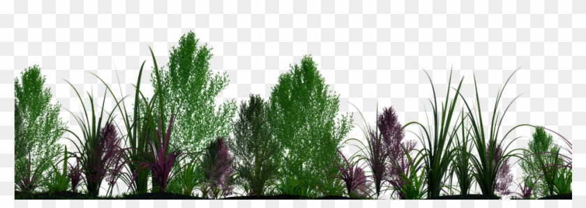 Plants Png 02 - Plantas Png #802172