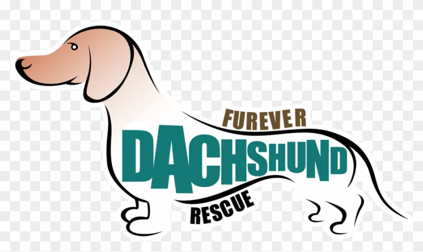 Blue/brown Logo - Mini Dachshund Rescue California #802431