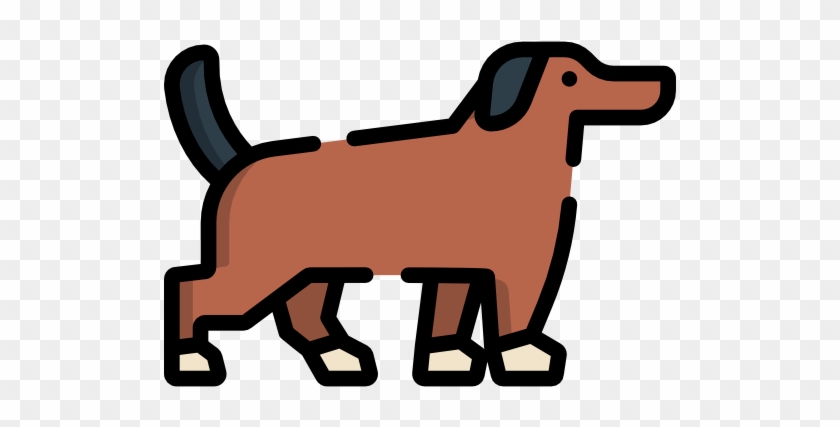 Dog Free Icon - Dachshund #802527