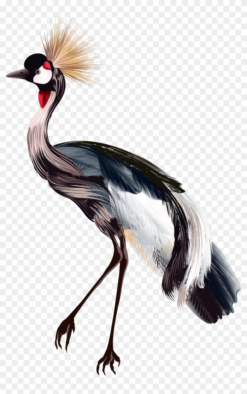 Crane Bird Drawing Watercolor Painting - Crane Bird Drawing Watercolor Painting #802713