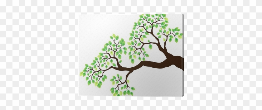 Tree Branch With Green Leaves 1 Canvas Print • Pixers® - Vector Tree Branch Leaves #802728