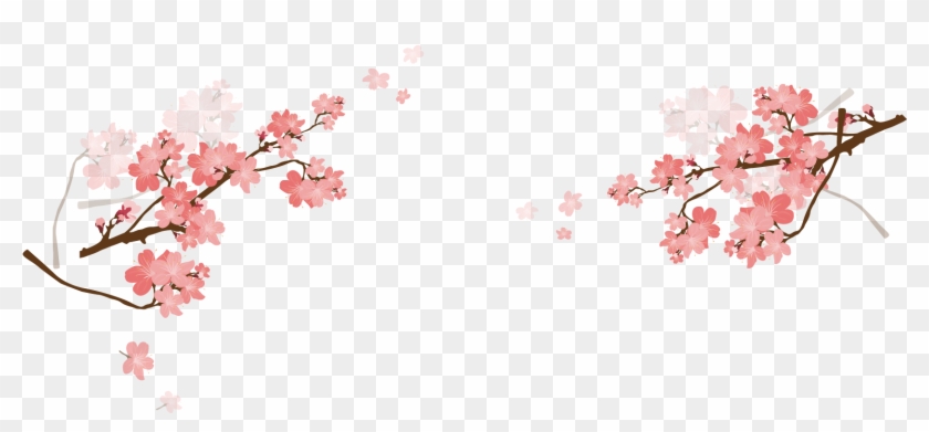Cherry Blossom Pink - Cherry Blossom Png Vector #803139