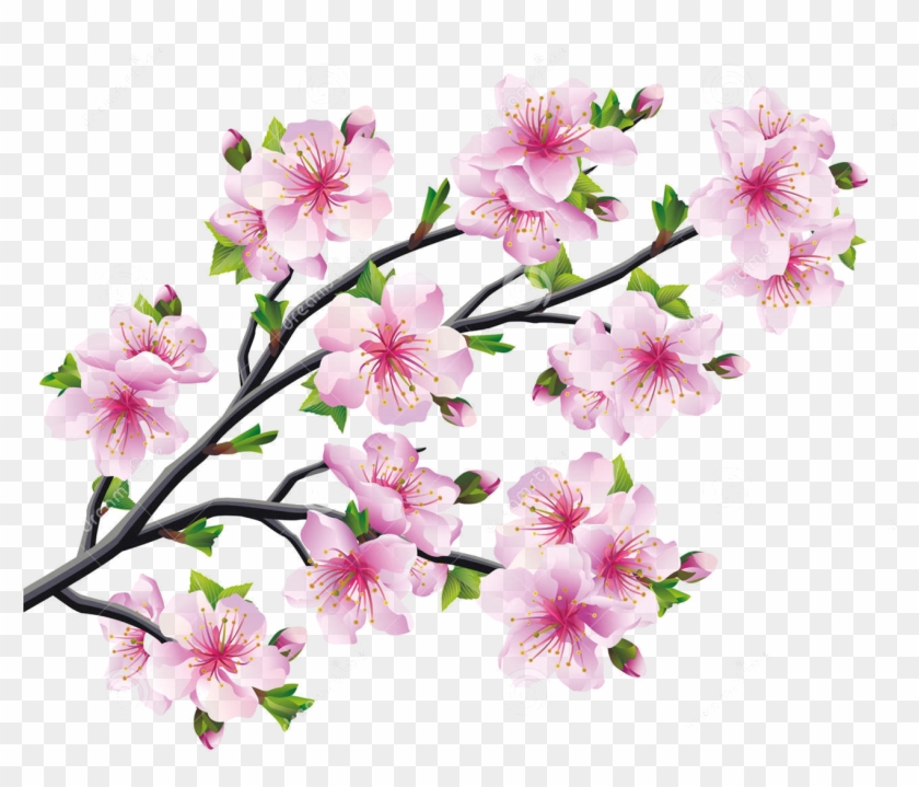 Cherry Blossom Drawing Tree - Sakura Cherry Blossom Tree ...