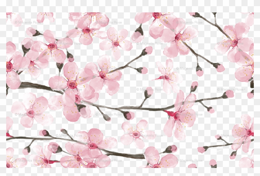 Cherry Blossom Watercolor // Cherry Blossom Floral - Cherry Blossom Cartoon Background #803213