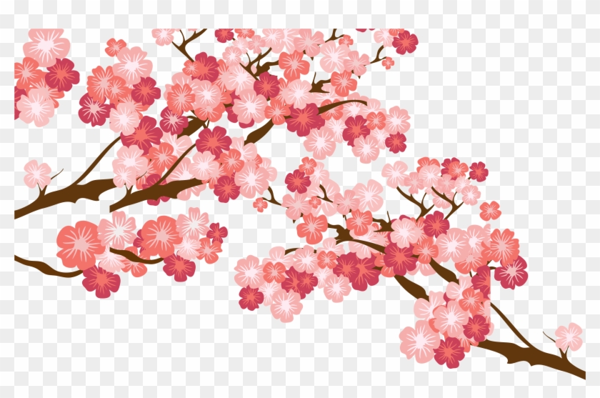 Cherry Blossom Cerasus - Ramas De Flores De Cerezo Png #803257