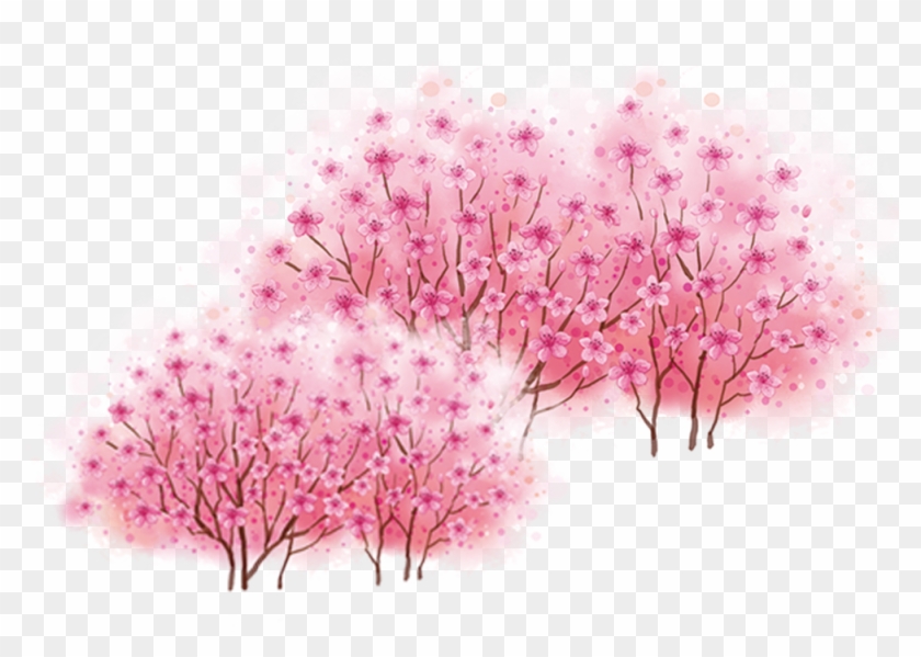 Cherry Blossom Tree - Cherry Blossom Tree #803453