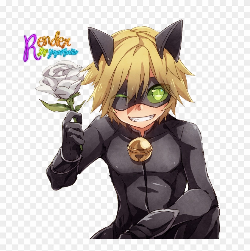 Adrien Agreste Black Cat Kitten Online Chat - Ladybug Anime Chat Noir #803517
