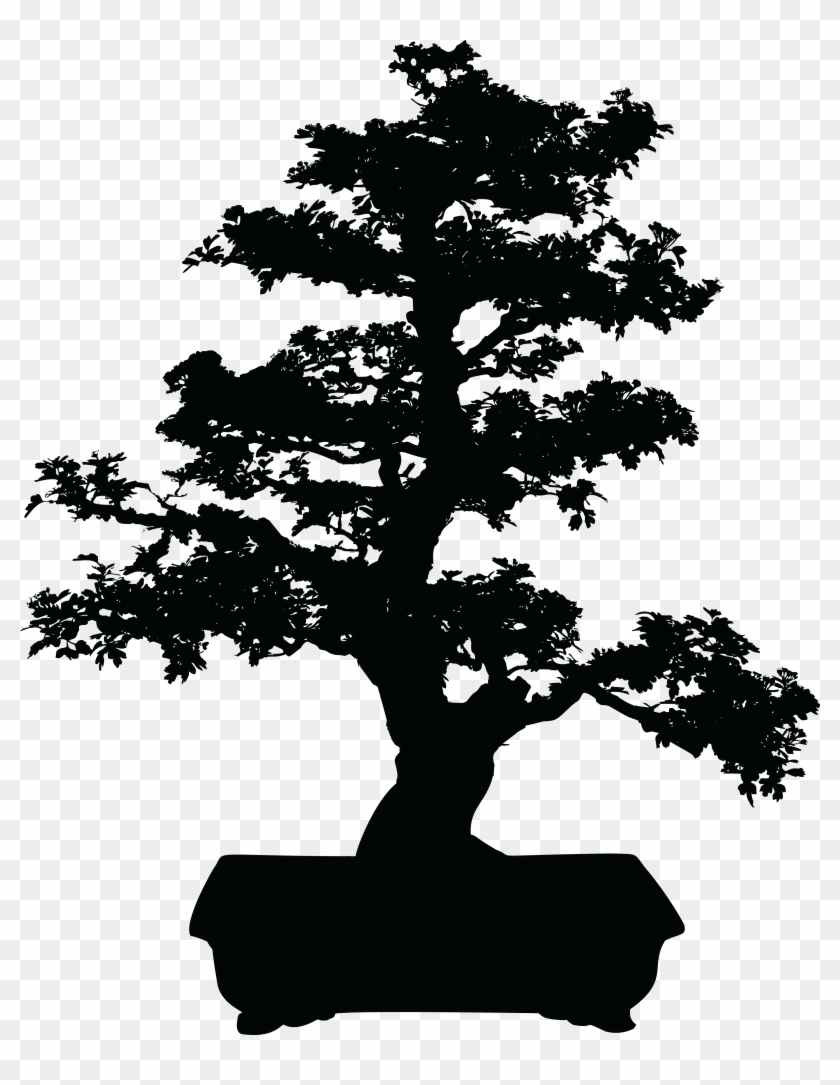 Big Image - Bonsai Clipart #803683