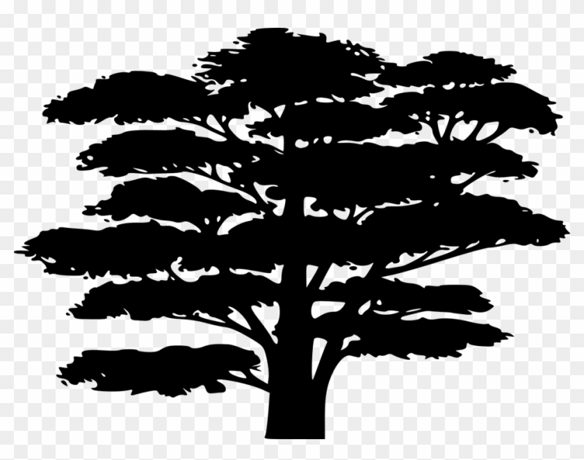 Japan Clipart Bonsai Tree - Jungle Tree Silhouette #803685