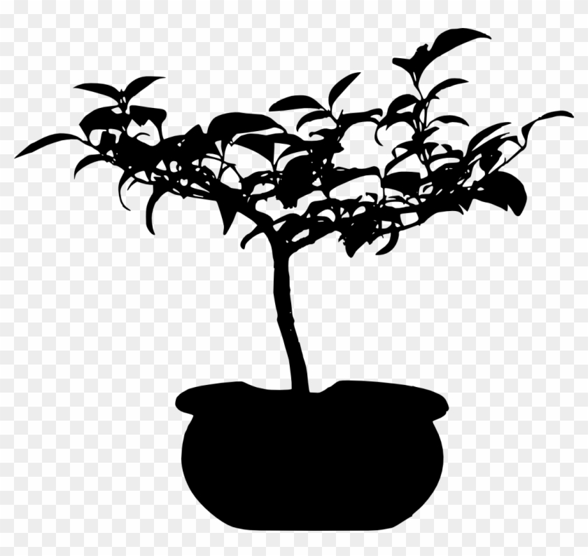 Free Download - Bonsai #803734