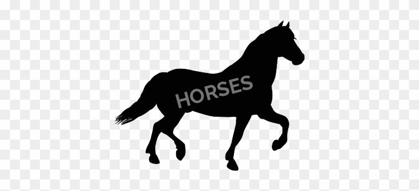 Horse - Horse Clip Art Silhouette #803745