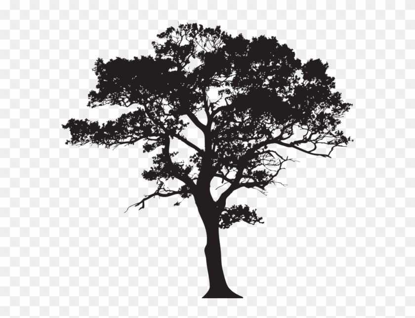 Silhouette Tree Png Clip Art Image - Silhouette Of A Tree Png #803746