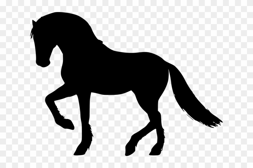 Silhouette, Horse, Gallop, Equestrian, Animal, Omnivore - Animal Graphic Designs Of Horses #803751