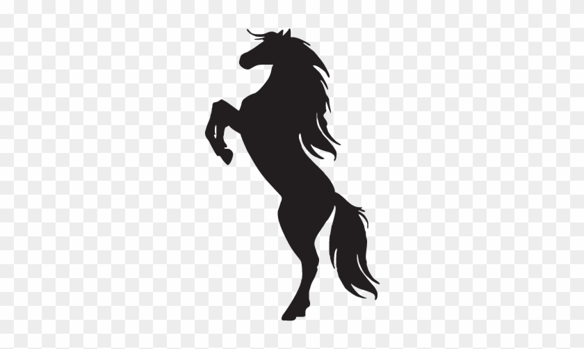 Silhouette Of A Horse On Hind Legs - Rearing Horse Silhouette #803753