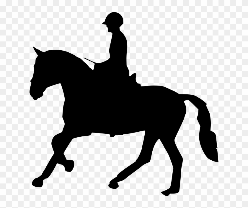 Silhouette, Horse Racing, Horse Head, Horse Logo - Horse Rider Head Silhouette #803783