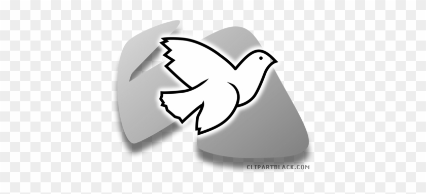 White Dove Animal Free Black White Clipart Images Clipartblack - Pigeons And Doves #803803