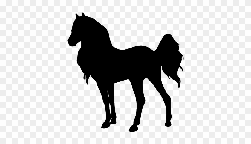 Horse Standing Young Animal Shape Of Long Hair Vector - Shape Of Horse #803805