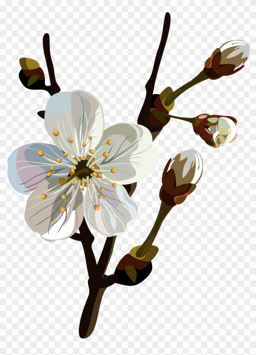 Spring 1316*1761 Transprent Png Free Download - Spring 1316*1761 Transprent Png Free Download #803853