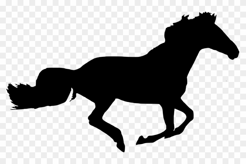Silhouette, Horse, Isolated, Black, Run, Beautiful - Sphynx Cat Clip Art #803838