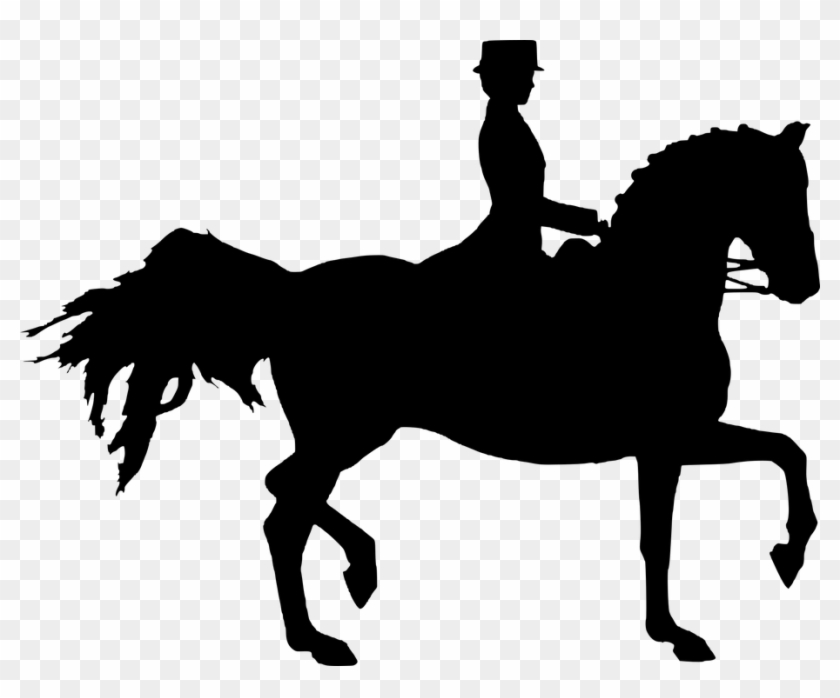 Silhouette, Horse, Sport, Chestnut, Horse Woman, Cutout - Mulher Em Cavalo Desenho Png #803841