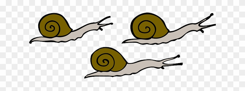 Movement, Snails, Moving, Slow, Shells, Slime - Snails Clipart #803896