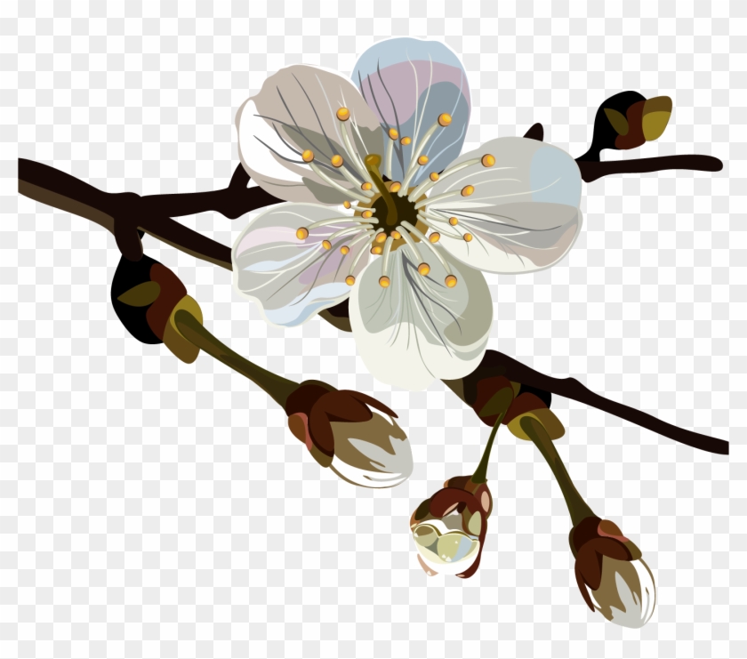 Chimonanthus Praecox Flower Oil Painting Plum Blossom - Chimonanthus Praecox Flower Oil Painting Plum Blossom #803999