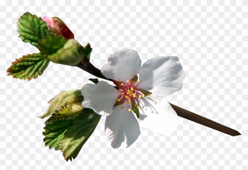 Kg Clip Art - Kg Clip Art #804390