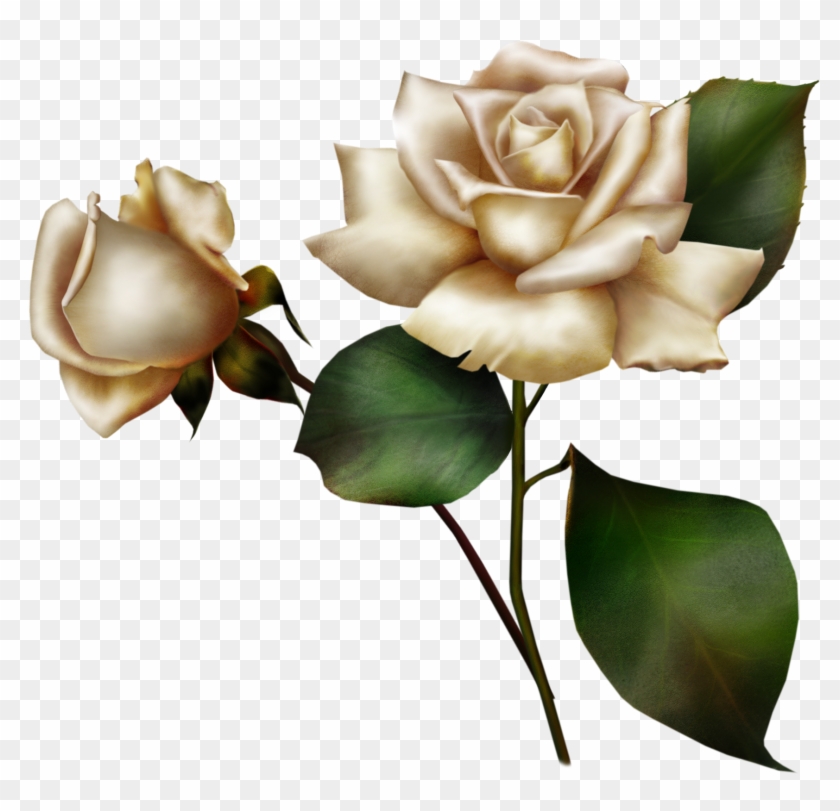 Rose Computer Icons Flower - Rose Computer Icons Flower #804649